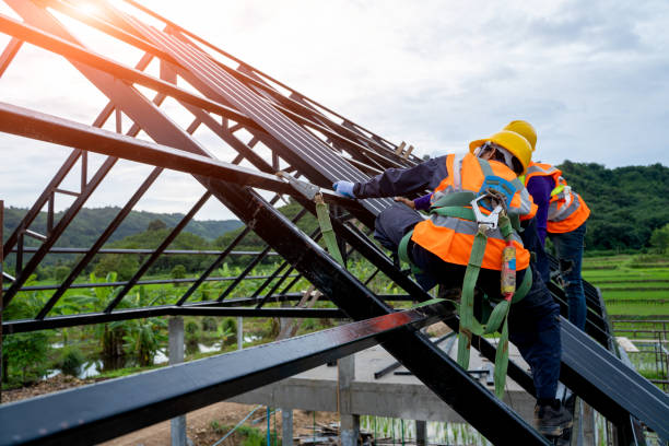 Best Storm Damage Roof Repair  in Chesapeake Beach, MD