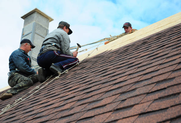 Quick and Trustworthy Emergency Roof Repair Services in Chesapeake Beach, MD